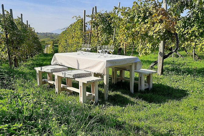 2 Guests Private Prosecco Road Tour All Inclusive from Venice - A Private Prosecco Road Day From Piazzale Roma