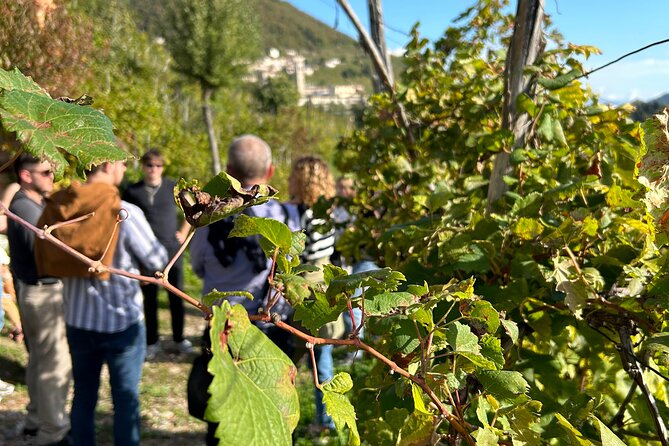 2 Guests Private Prosecco Road Tour All Inclusive from Venice - Stop 2 Valdobbiadene Steep Hills, Vineyard Picnic, and Lunch