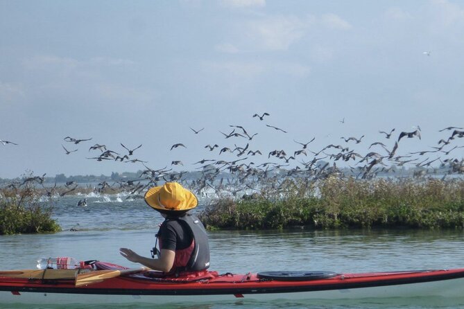 2 Hour Night Kayak Tour in Venice, premium experience with sunset - Entering the lagoon: canals first, then the quieter natural side