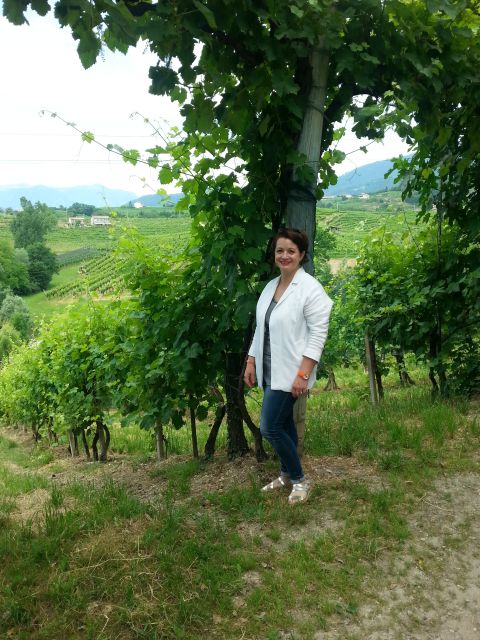 8-Hour Prosecco Wine and Tastings Tour from Venice or Padua - Key things I think you’ll care about