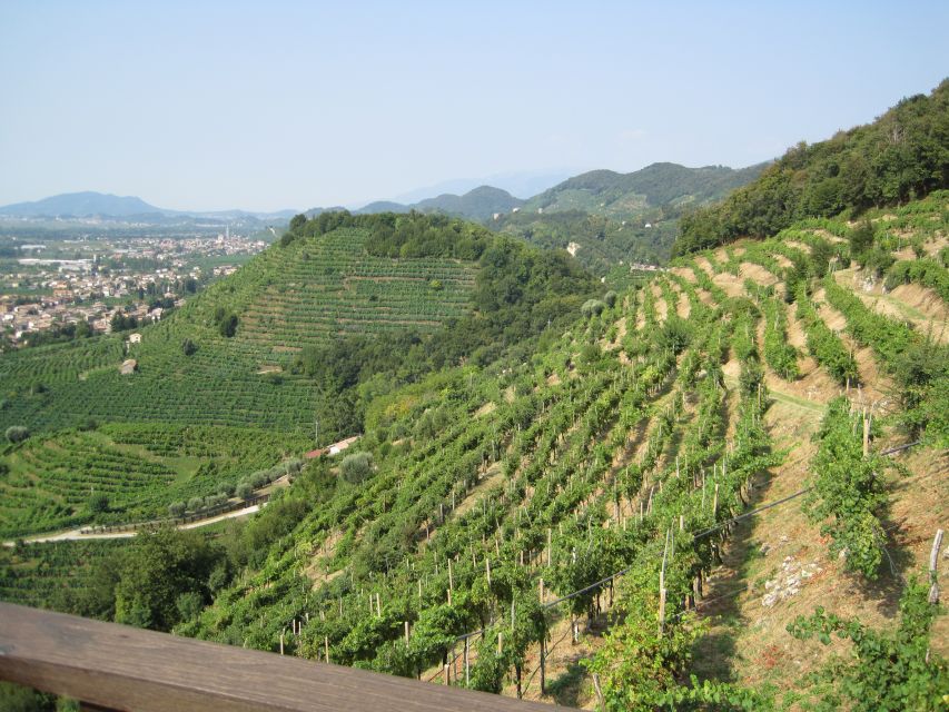 8-Hour Prosecco Wine and Tastings Tour from Venice or Padua - Cantina visit one: guided tasting of at least four Proseccos