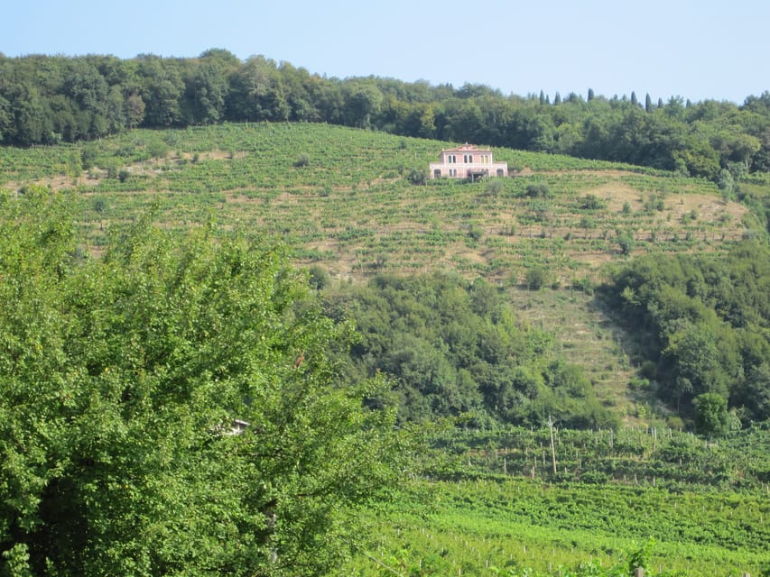8-Hour Prosecco Wine and Tastings Tour from Venice or Padua - Who should book this tour (and who might not)