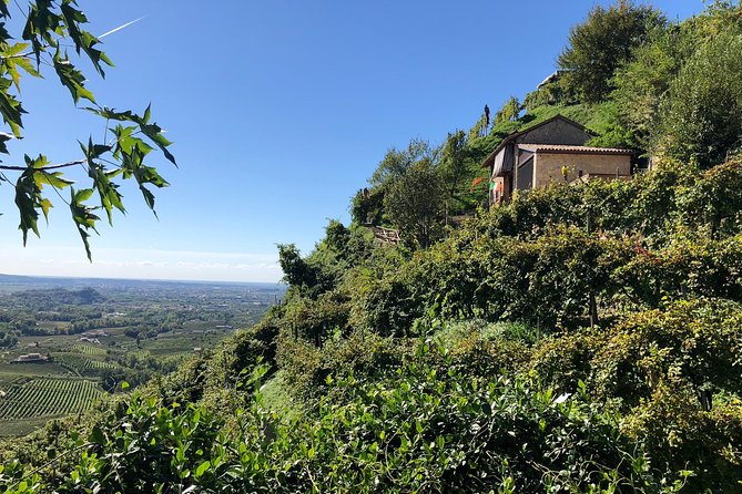 A Sparkling Day in the Prosecco Hills from Venice - Getting the timing right: a 7 hour loop that starts and ends in Venice