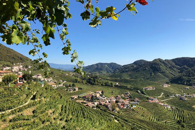 A Sparkling Day in the Prosecco Hills from Venice - Prosecco Hills World Heritage viewpoint: photos, a possible castle, and a breather