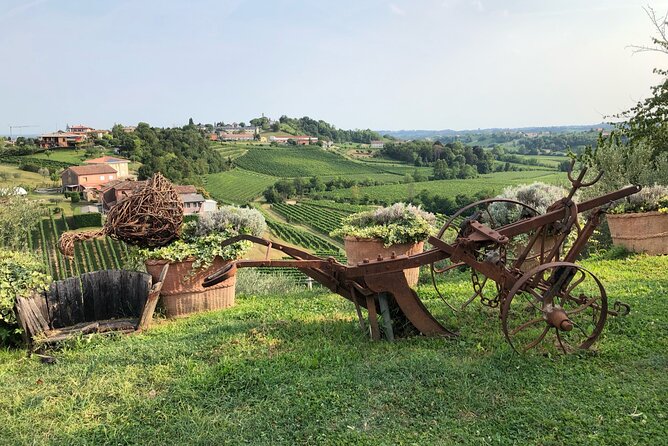 Adventure in the Prosecco Hills by Yellowboot - Prosecco Hills World Heritage Viewpoint: The Photo Stop That Actually Pays Off