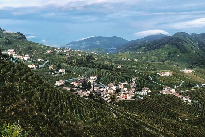 Adventure in the Prosecco Hills by Yellowboot - Price and Value: What You Actually Get for $167.21