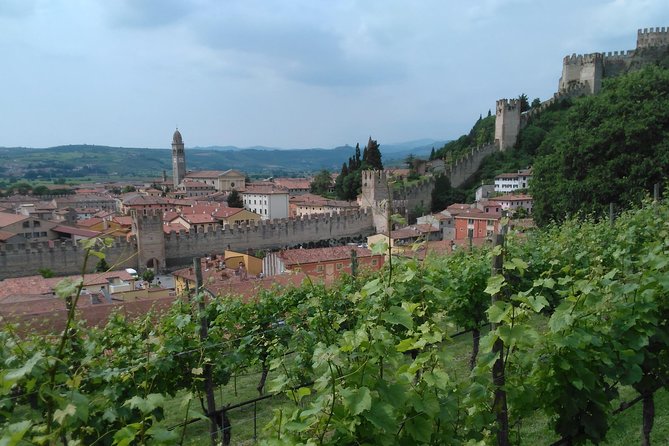 Amarone & Soave Wine Tour with Sommelier – Visit Verona - The Drive: Comfort Up Front, Time Management Later