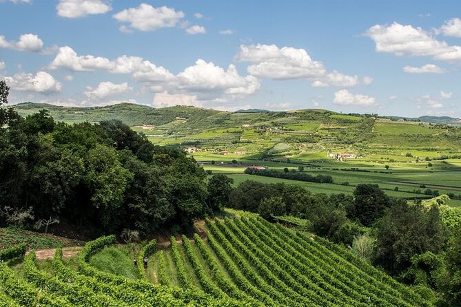 Amarone-Valpolicella tour. Visit Verona. From Venice - Piazzale Roma to Verona, Plus a Guided Walk Through the Center