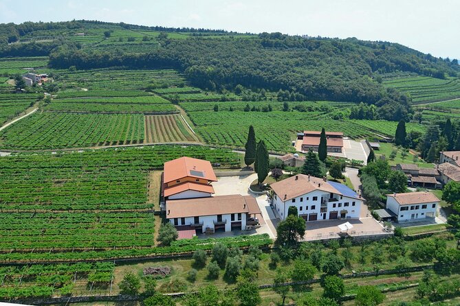 Amarone-Valpolicella tour. Visit Verona. From Venice - Family Winery in Valpolicella: Vineyard, Cellar, and the Amarone Story