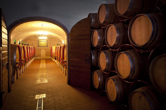 Amarone-Valpolicella tour. Visit Verona. From Venice - Small Group Comfort, Timing, and What to Bring