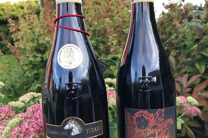 Amarone-Valpolicella tour. Visit Verona. From Venice - Price and Value for a 6-Hour Wine and City Combo