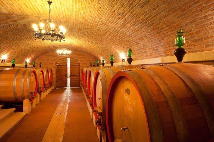 Amarone Wine Tasting Tour. Visit Verona. From Venice - Light lunch of cheese and salami, with plant-based options