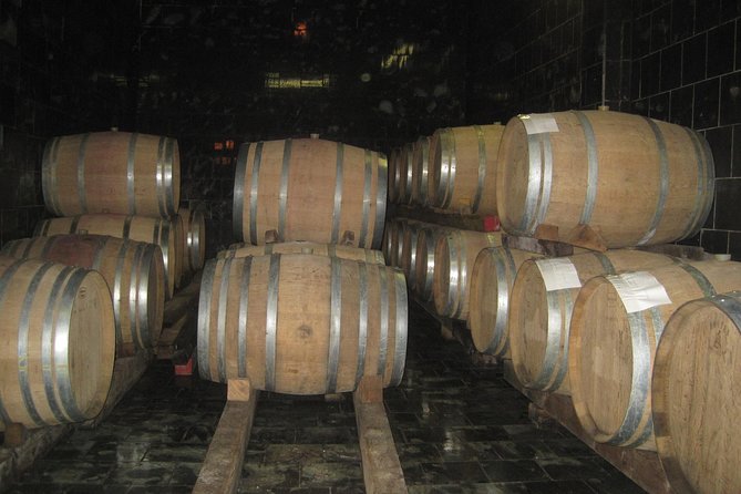 Amarone Wine Tour (all-inclusive full day with lunch and expert wine guide) - Air-conditioned transport and a small-group rhythm