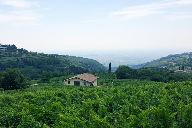 Amarone Wine Tour (all-inclusive full day with lunch and expert wine guide) - The 9:00 start and meeting point near the dock area
