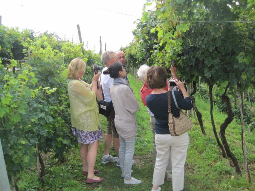 Amarone Wine Tour & Tasting from Venice, Padua or Verona - Valpolicella: why this wine valley sits between Lake Garda and Verona
