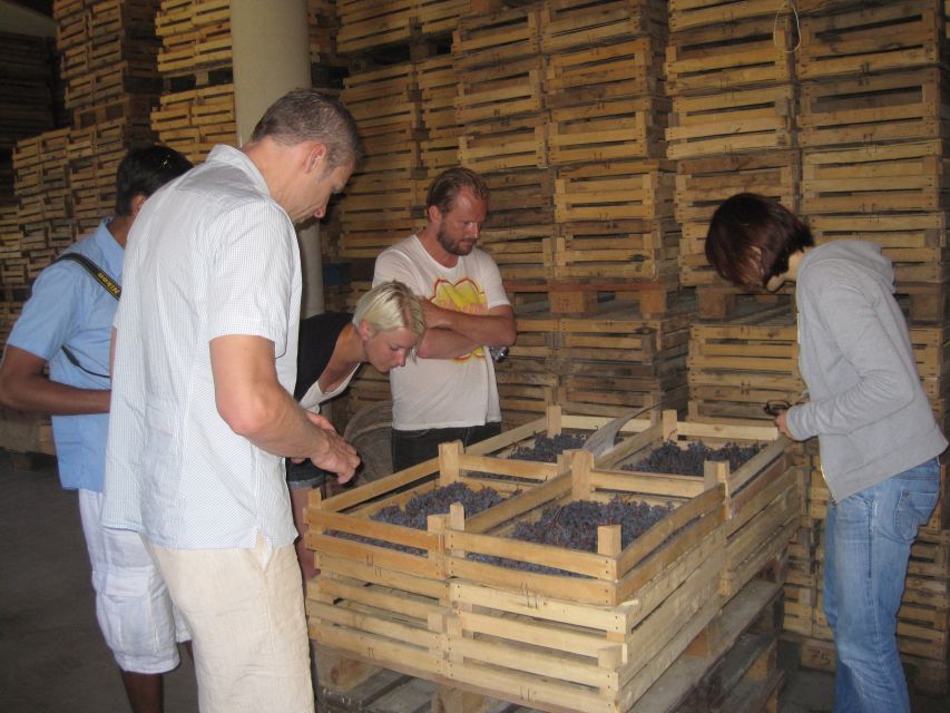 Amarone Wine Tour & Tasting from Venice, Padua or Verona - Second cantina and the withering step that changes everything