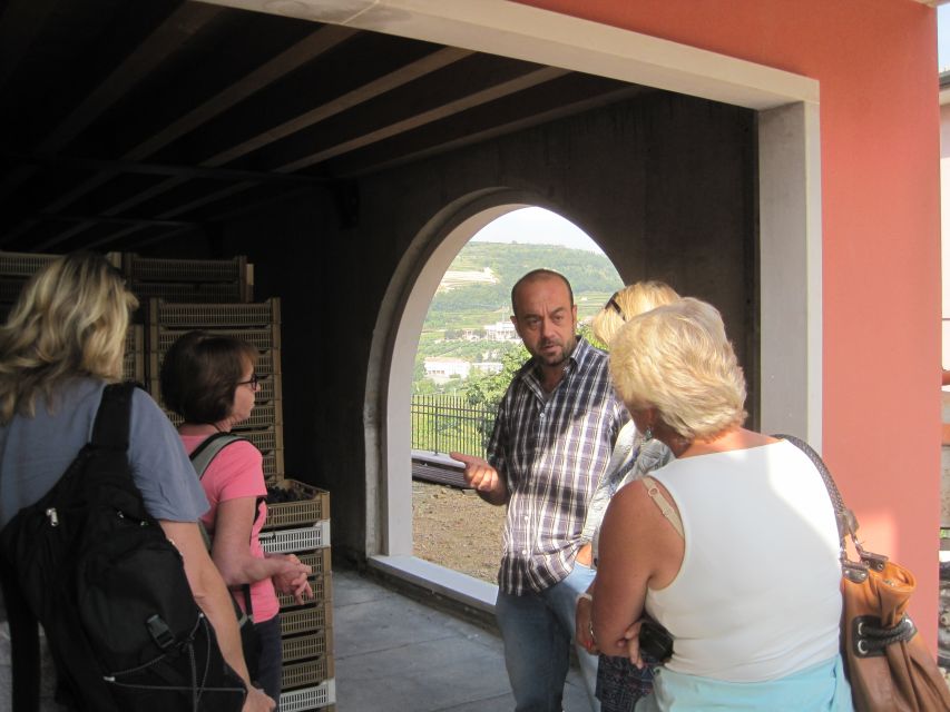 Amarone Wine Tour & Tasting from Venice, Padua or Verona - What you should expect about buying, shipping, and the sales vibe