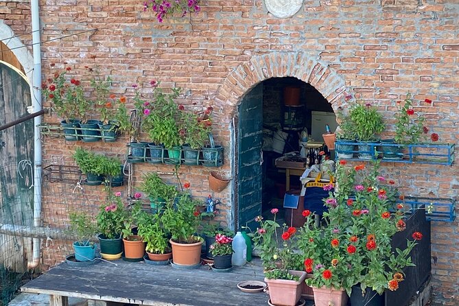 Another Side of the City: Discovering Authentic Venice - Key highlights you will feel right away