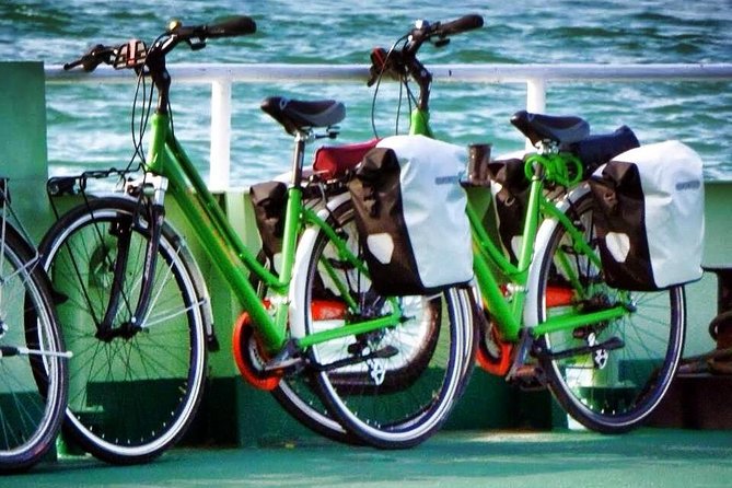 Bike rental in Venice - Starting Point: Where This Venice Bike Rental Gets You Rolling