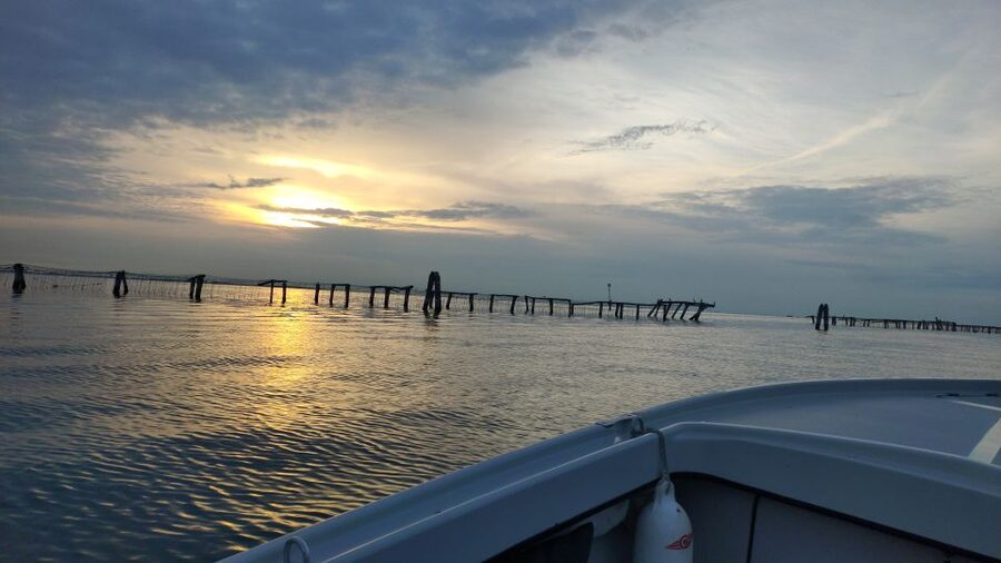 Chioggia: discover aquaculture techniques in a typical boat - Key highlights you will feel in the Venetian Lagoon