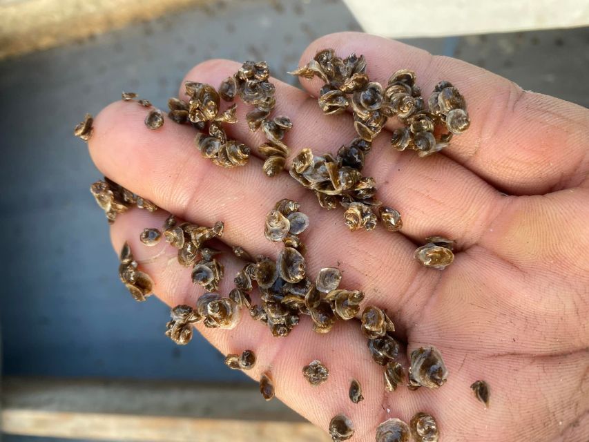 Chioggia: discover aquaculture techniques in a typical boat - Views and photo stops you can actually use
