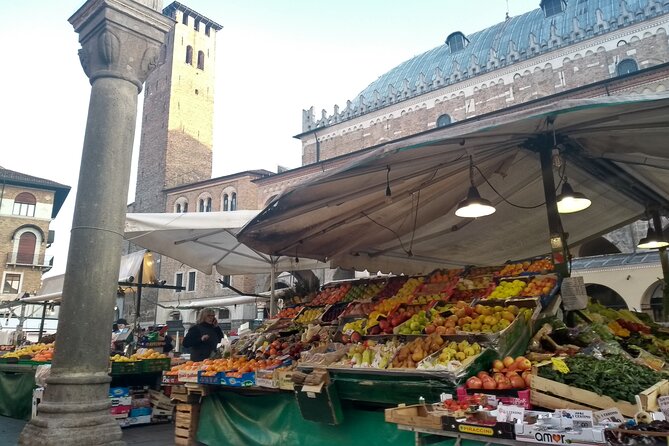 DA Venezia : Experience Padua like a local - Prato della Valle and Basilica of St. Anthony, open space, then pilgrimage power