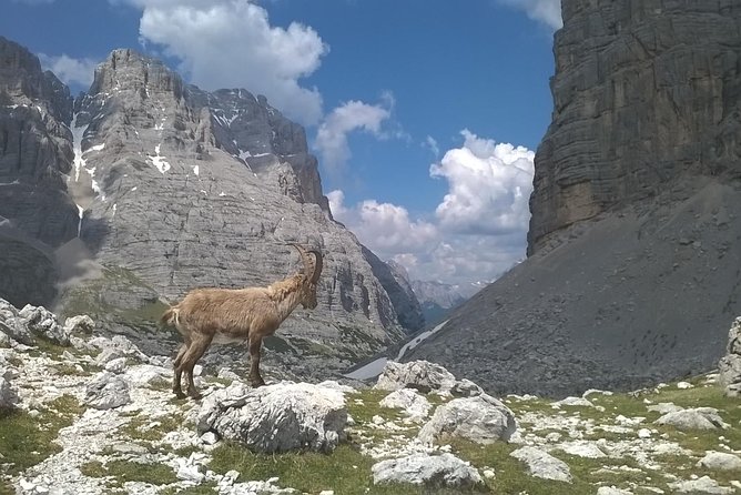 Dolomites Hiking tour - Why This Dolomites Day Trip Works So Well From Venice