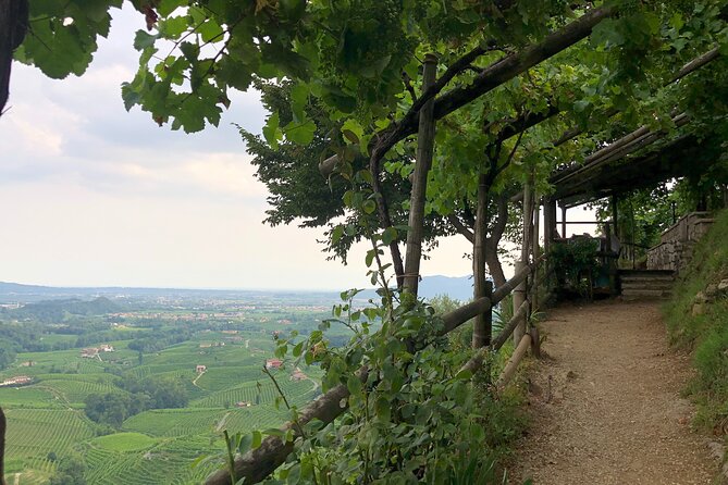 Food and Wine Tour on the Prosecco Hills from Venice - Nico and his dad: why the guide level changes the whole day