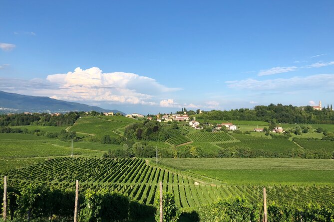 Food and Wine Tour on the Prosecco Hills from Venice - Price and value: is $296.63 worth it?