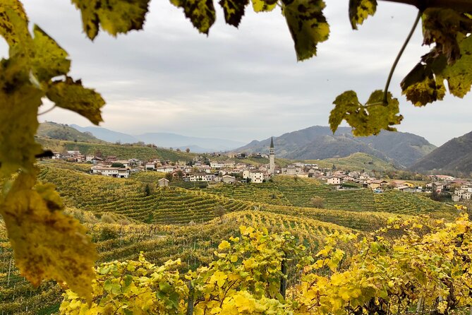 Food and Wine Tour on the Prosecco Hills from Venice - Should you book the Prosecco Hills food and wine tour from Venice?
