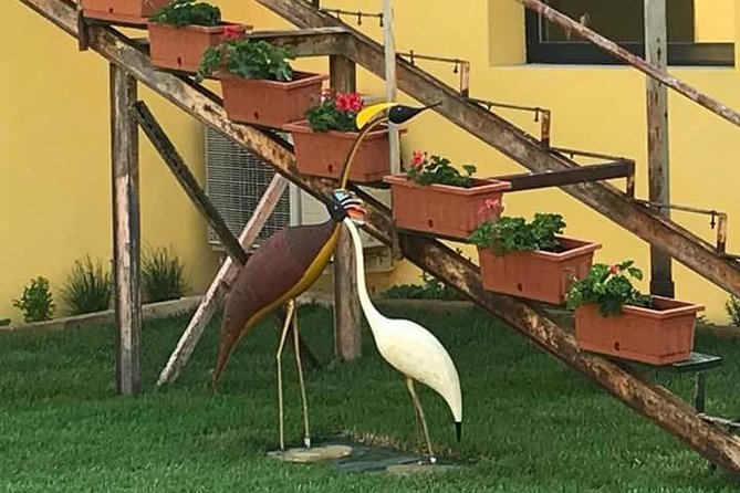 FriendInVenice Murano Burano Torcello Private Tour By Luxury Boat - Lunch on Burano: How You Keep the Day Relaxed