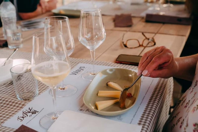 From Venice: Prosecco Hills and Wine Tasting Tour - Food, wine, and pacing in a 6-hour Venice getaway