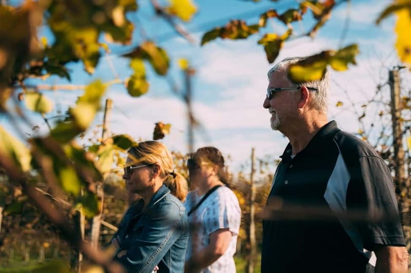 From Venice: Prosecco Hills and Wine Tasting Tour - Should you book it? My practical recommendation