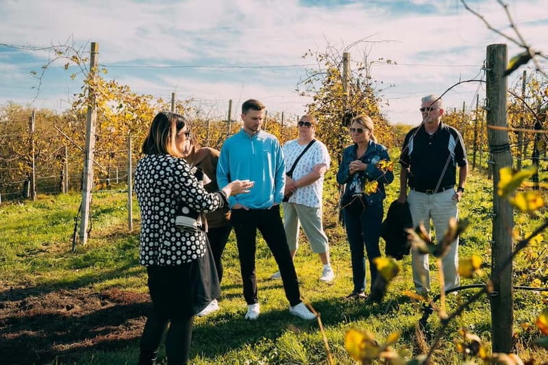 From Venice: Prosecco Hills and Wine Tasting Tour - Conegliano and the second winery: meet the winemaker and learn the Charmat method