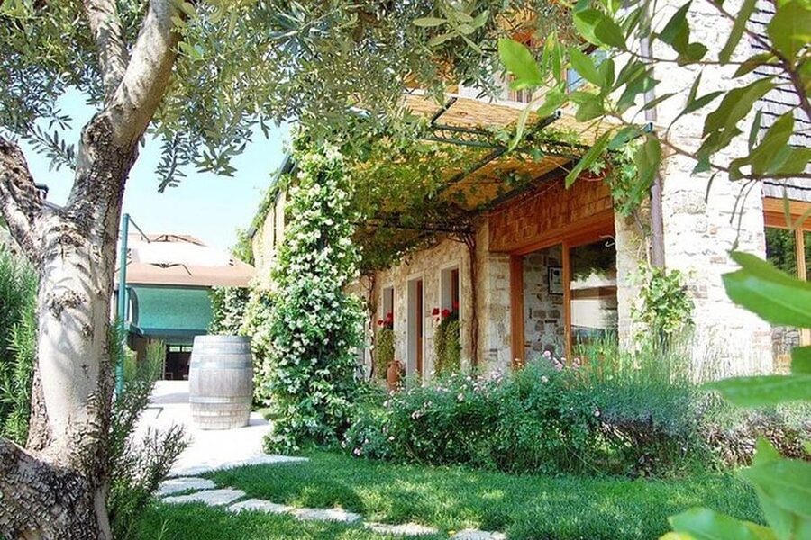 From Venice: Wine and Food tour in the Prosecco Hills - Key highlights to look for
