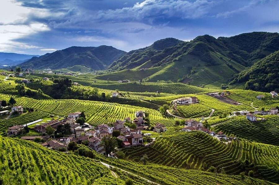 From Venice: Wine and Food tour in the Prosecco Hills - The tasting lineup: four DOCG wines and a realistic palate break