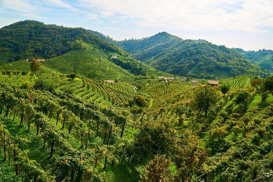 From Venice: Wine and Food tour in the Prosecco Hills - Transport and group size: up to 4 people, English guide, private vehicle