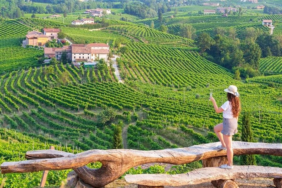 From Venice: Wine and Food tour in the Prosecco Hills - Prosecco DOC vs DOCG: what you’ll taste and why the labels matter
