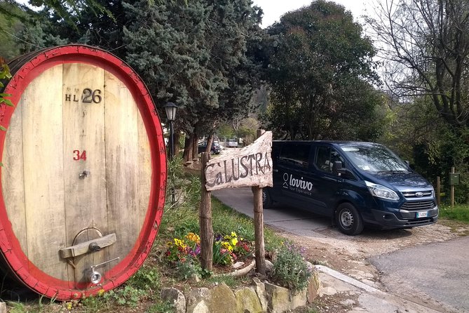 From Venice: Wine Tour in the Euganean Hills - The Second Family Winery Stop: More Tastings, Different Perspective
