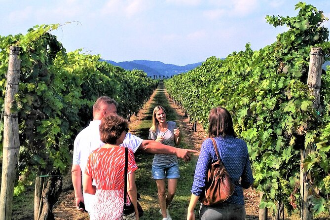 From Venice: Wine Tour in the Euganean Hills - What You Learn About the Euganean Hills Wines (Beyond Just Flavor)