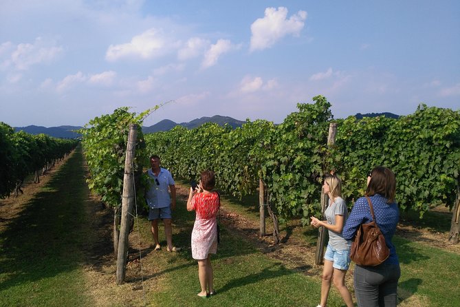 From Venice: Wine Tour in the Euganean Hills - Small Group Size and Guide Style: A Big Part of the Value