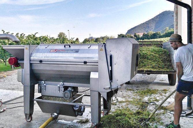 From Venice: Wine Tour in the Euganean Hills - Timing, Weather, and What to Pack