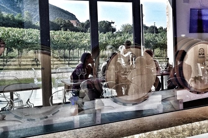 From Venice: Wine Tour in the Euganean Hills - First Winery Stop at Cantina Colli Euganei: Vineyard Walk and Barrel Room Time