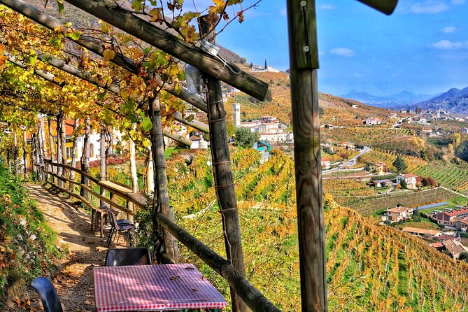 Full day Private Prosecco Tour, with certified Sommelier - Meet Your Guide, Then Taste With Real Questions
