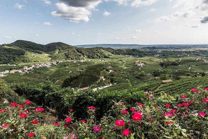 Full day Private Prosecco Tour, with certified Sommelier - Tastings, Fees, and the Stuff You Actually Care About
