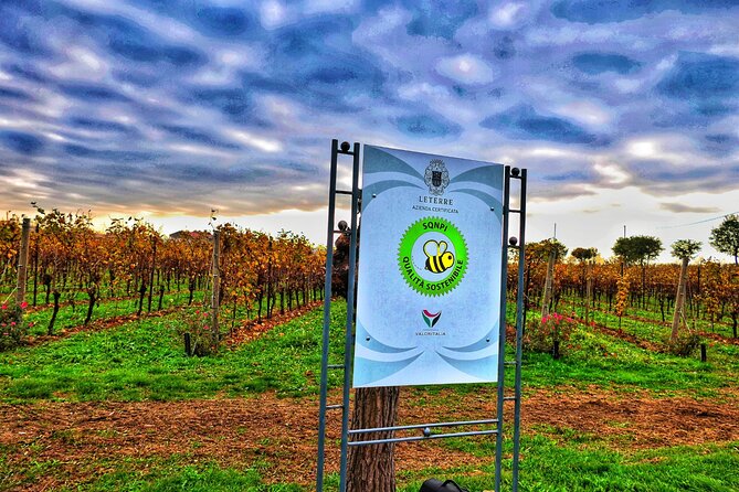 Full day Private Prosecco Tour, with certified Sommelier - Getting Your Money’s Worth: What $420.55 Per Person Buys