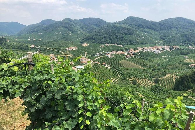 Full Day Prosecco and Cheese Tasting from Venice - Key things to know before you go