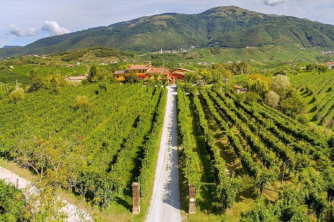 Full Day Prosecco and Cheese Tasting from Venice - Osteria Senz’Oste and the viewpoint break you actually remember
