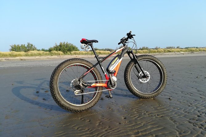 Full Day Venice E-Bike Rental - Key points to know before you pedal