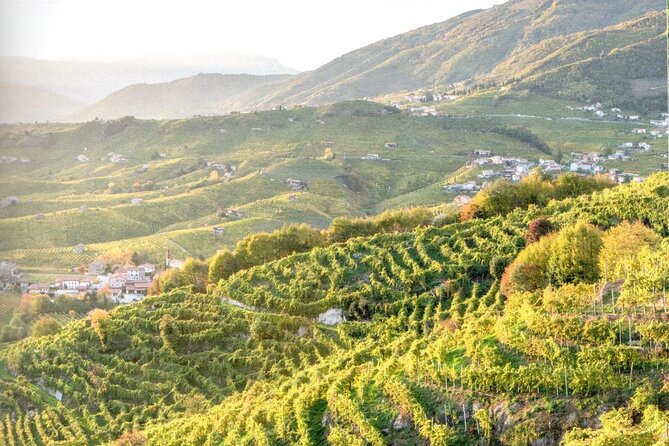 Full Day Wine Tour and Tasting in the Prosecco Region - The terrace break that turns photos into a real memory